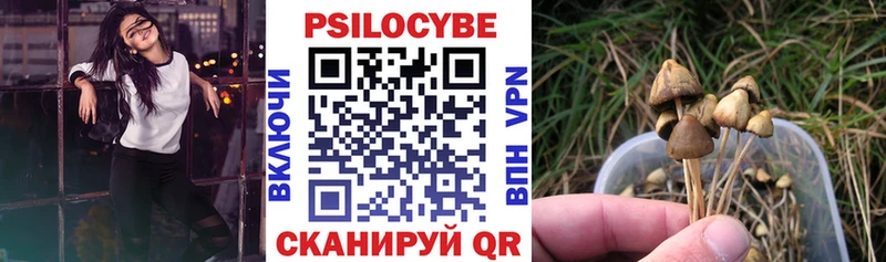 KRAKEN ссылки  Новозыбков  Галлюциногенные грибы мицелий 