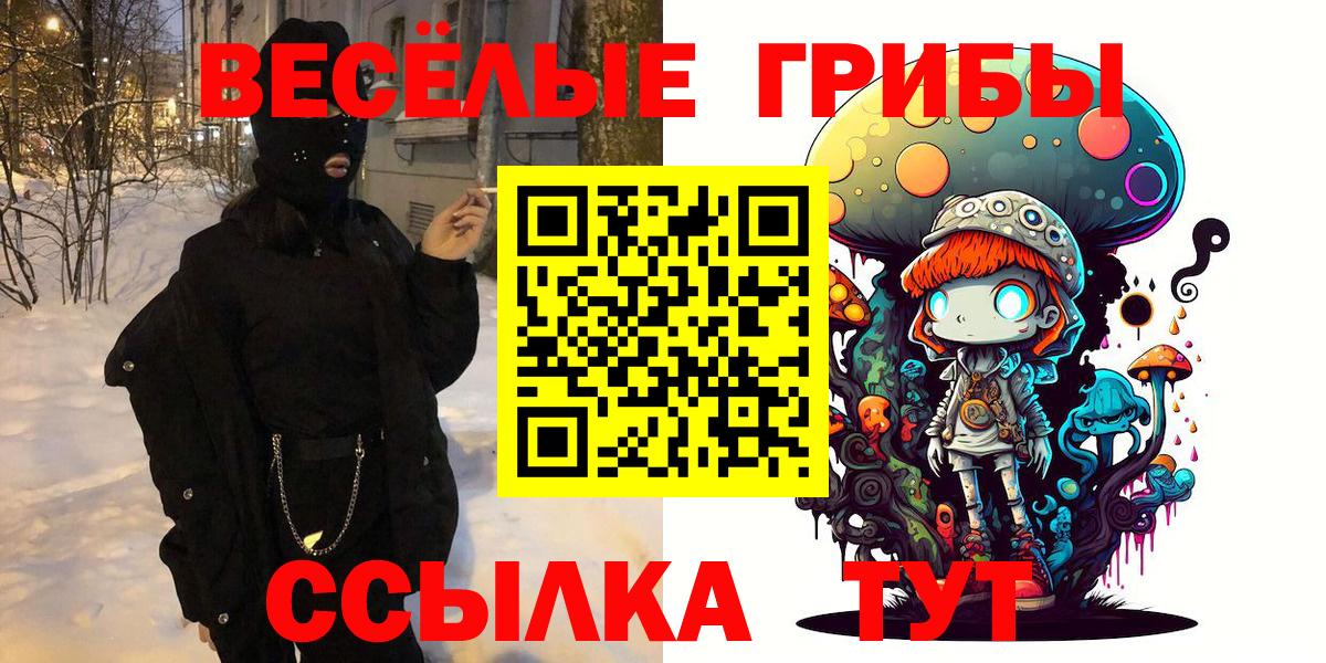 Галлюциногенные грибы GOLDEN TEACHER  Галлюциногенные грибы Psilocybe  Новозыбков  Вход с VPN 