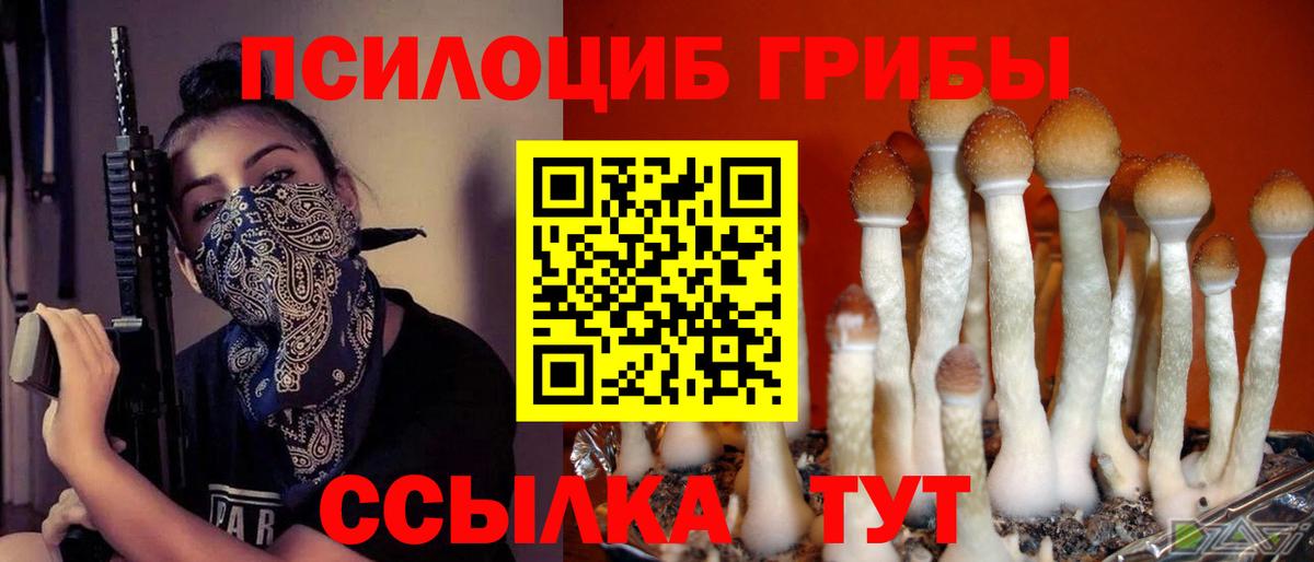 Галлюциногенные грибы прущие грибы Новозыбков