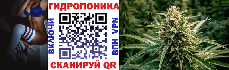 Бошки Шишки сатива  закладка  Новозыбков 